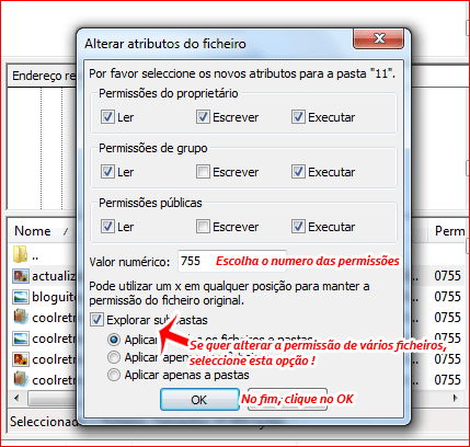 Instruções filezilla chmod